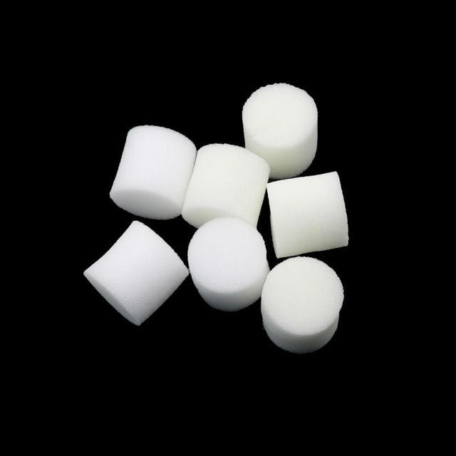 Nursery Sponge Flower Seed