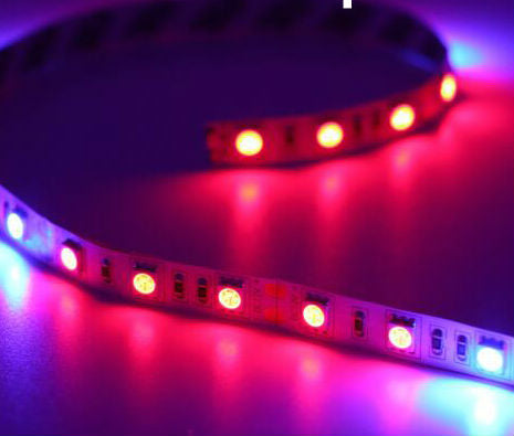 Garden Flowering Plant Hydroponics System