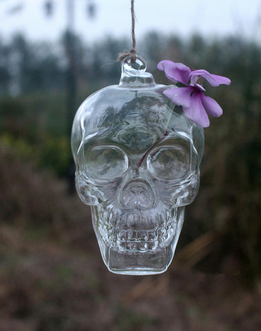 Pot Skull Hanging Glass Vases