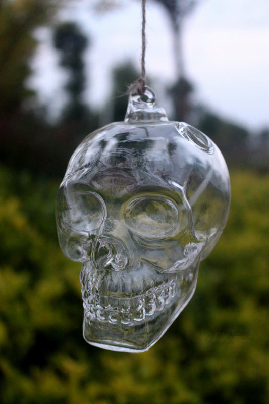 Pot Skull Hanging Glass Vases