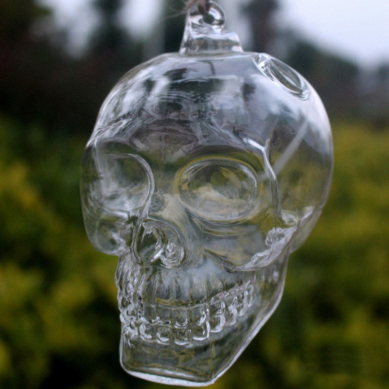 Pot Skull Hanging Glass Vases