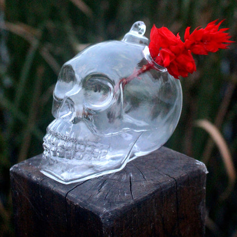 Pot Skull Hanging Glass Vases
