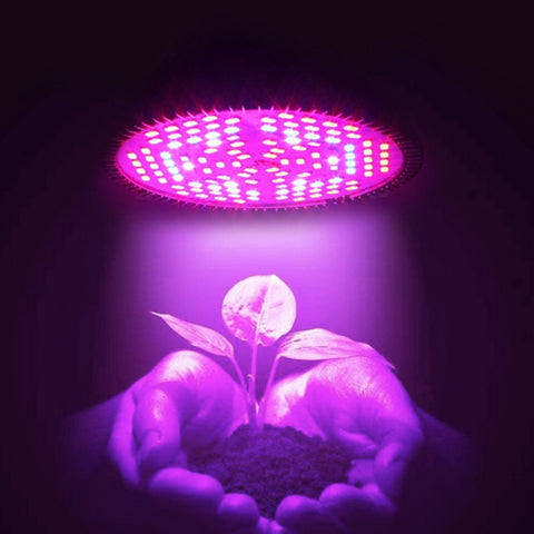 Full Spectrum Led Growing Lamp
