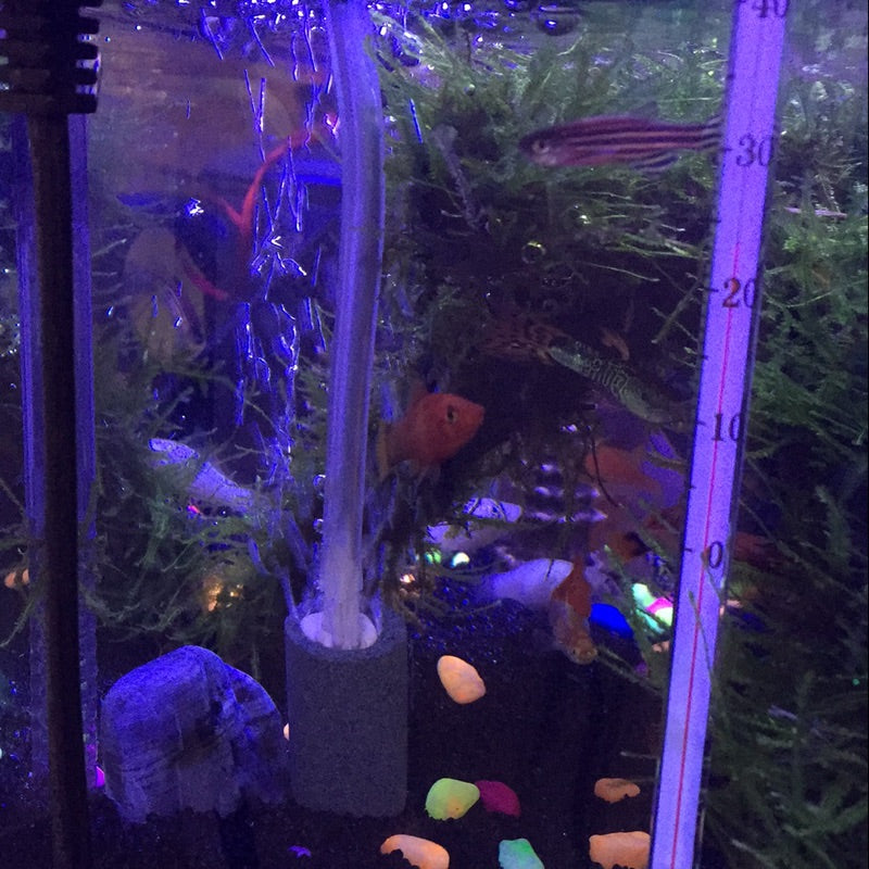 Air Bubble Disk Stone Aerator