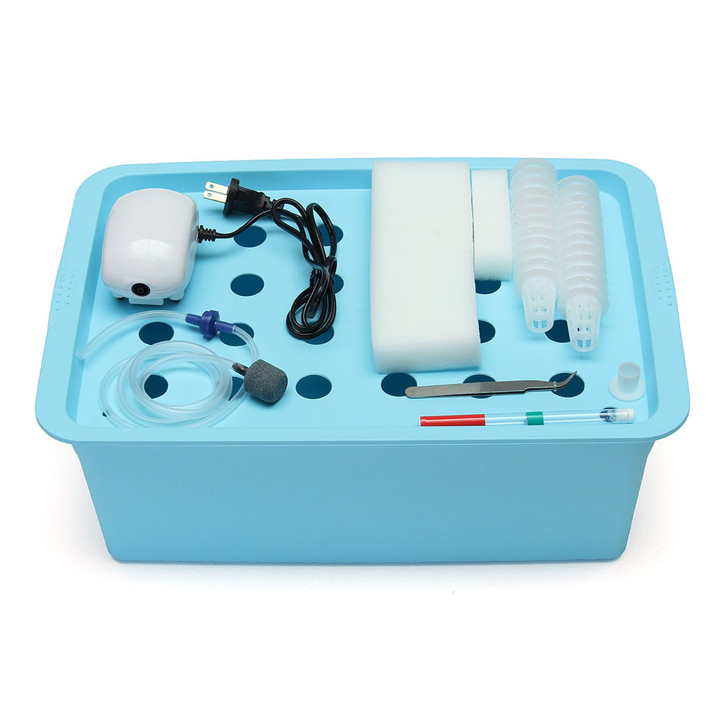 Plant Site Hydroponic System