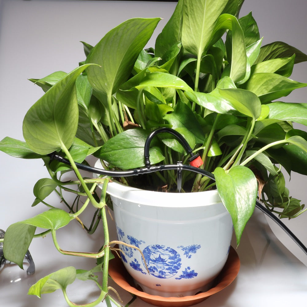 Automatic Micro Drip Irrigation System