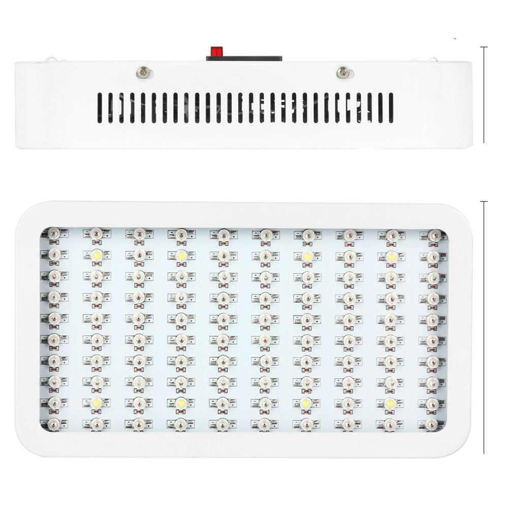 Lamp light Superior Yield