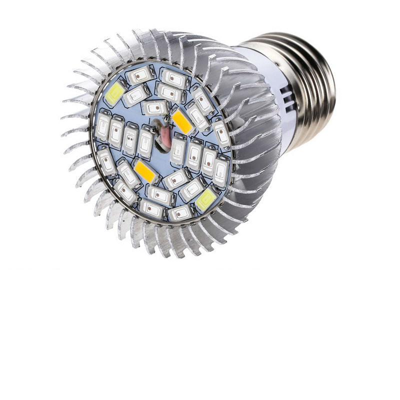 Flowers Plants Vegetables Growing Bulbs