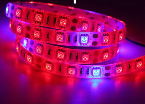 Garden Flowering Plant Hydroponics System