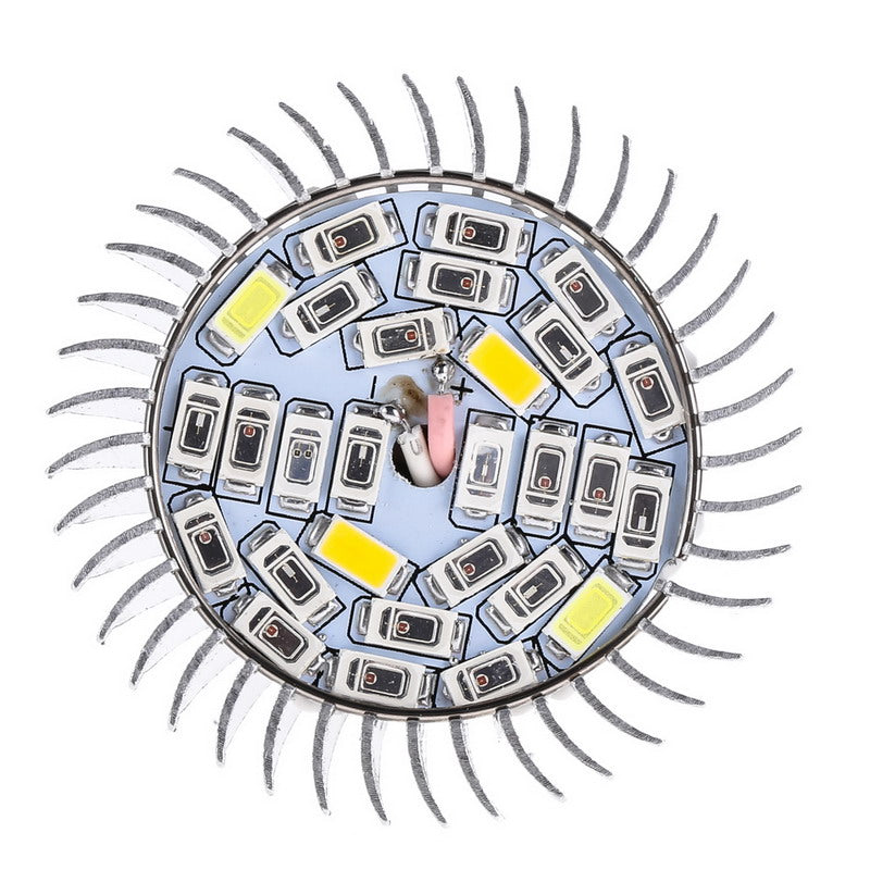 Flowers Plants Vegetables Growing Bulbs