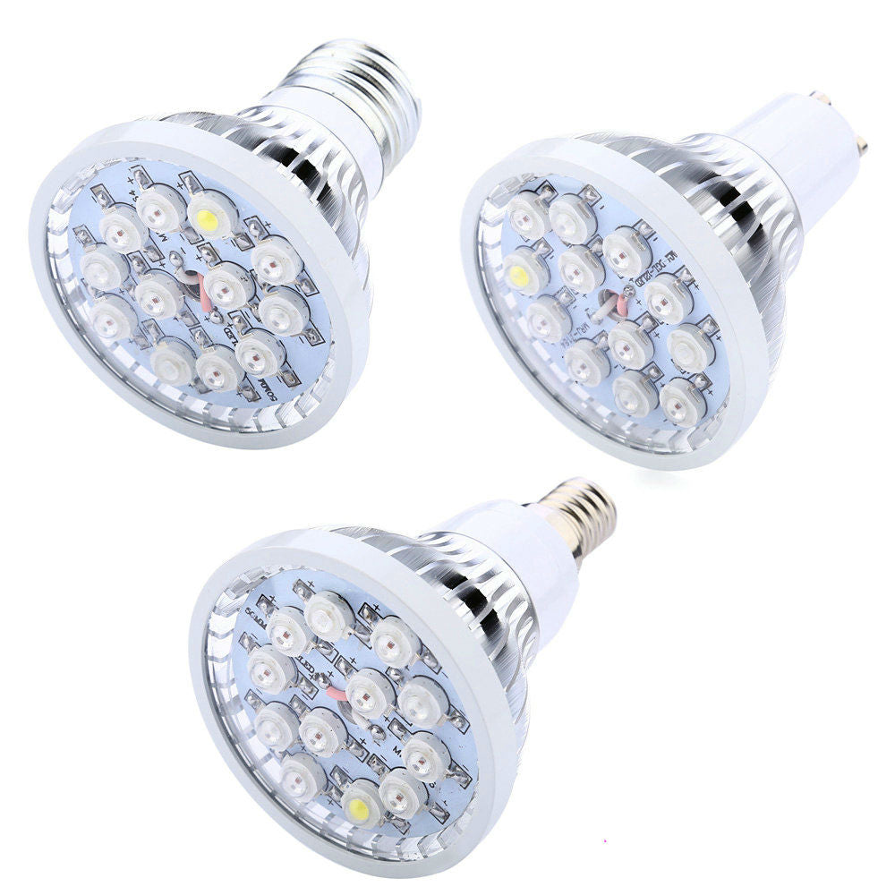 High Power Plant Lamp