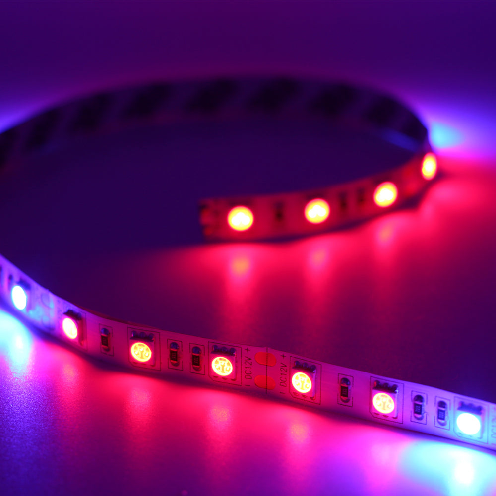 Garden Flowering Plant Hydroponics System