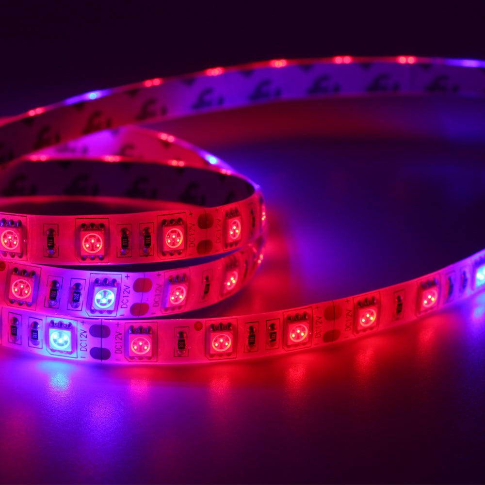 Garden Flowering Plant Hydroponics System