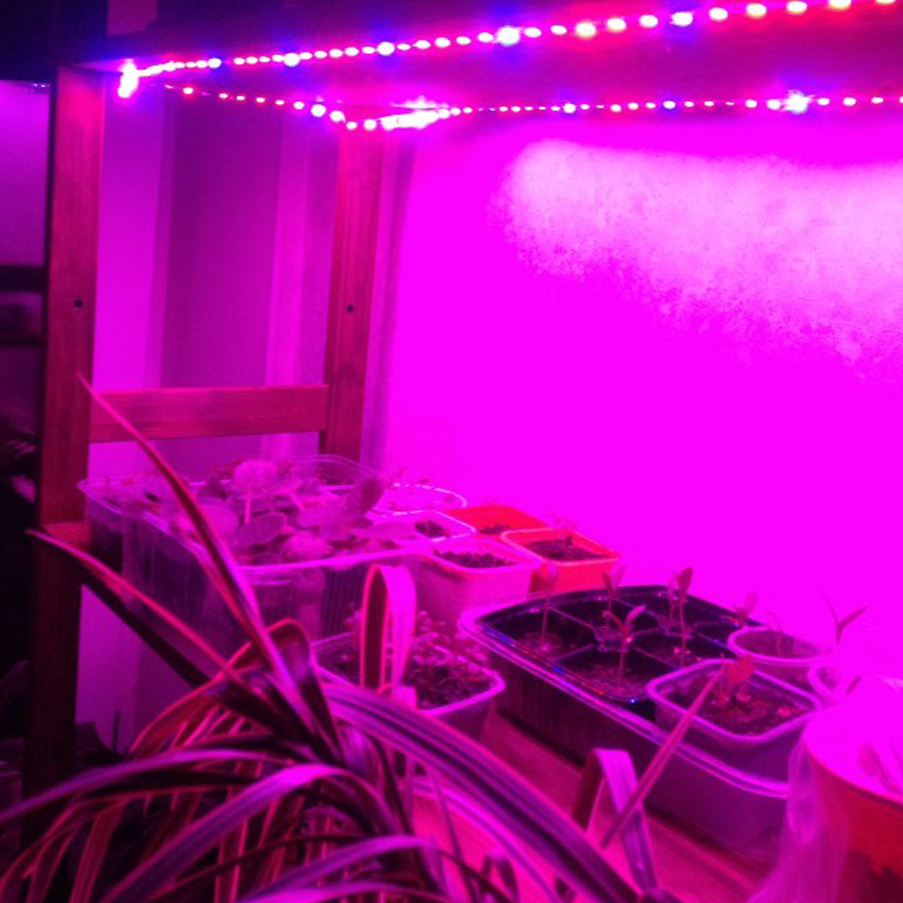 Garden Flowering Plant Hydroponics System