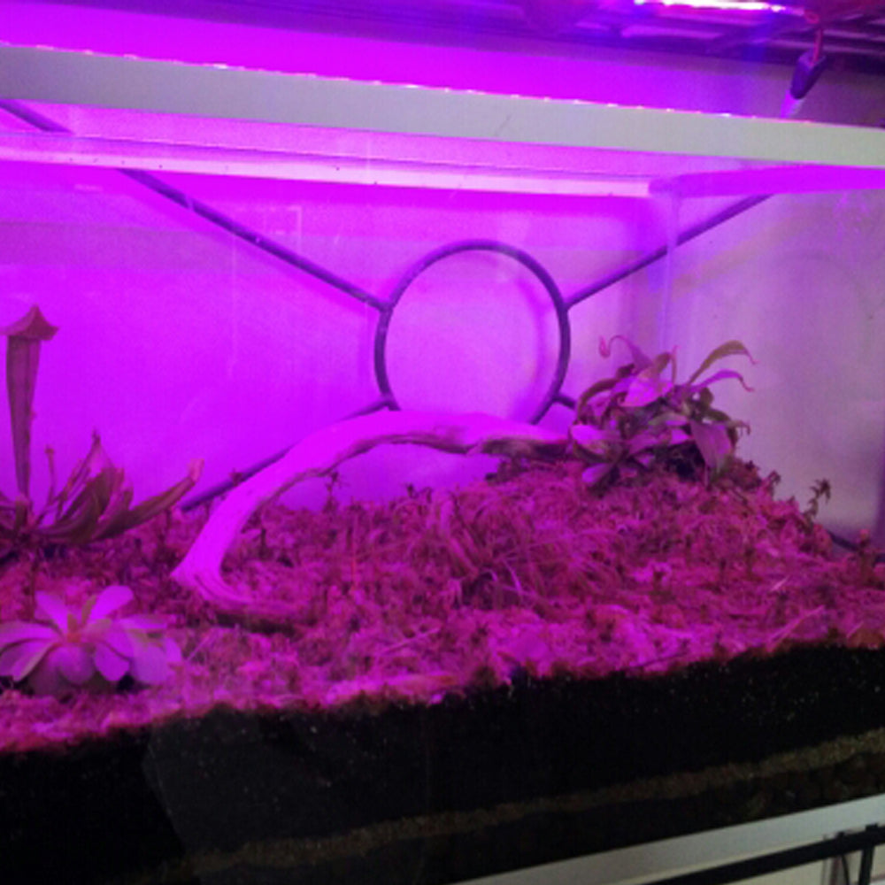 Garden Flowering Plant Hydroponics System