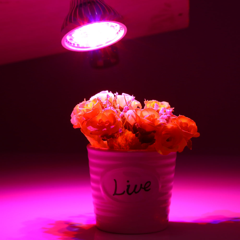 High Power Plant Lamp