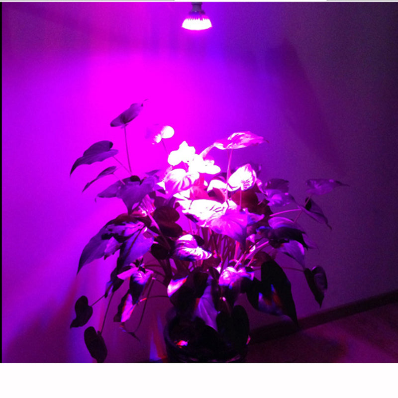 Hydroponic Lamp Bulb