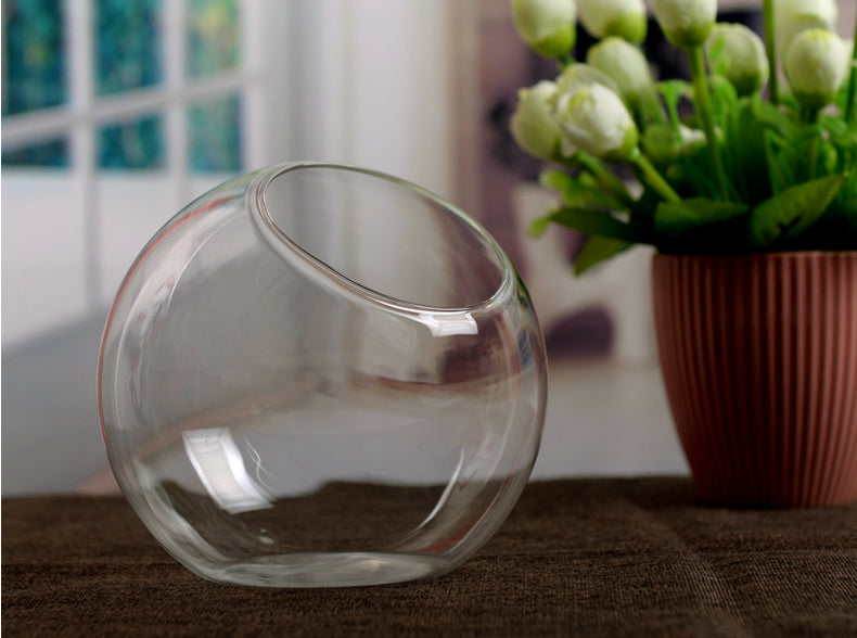 Transparent Glass Hydroponic Flower Vase