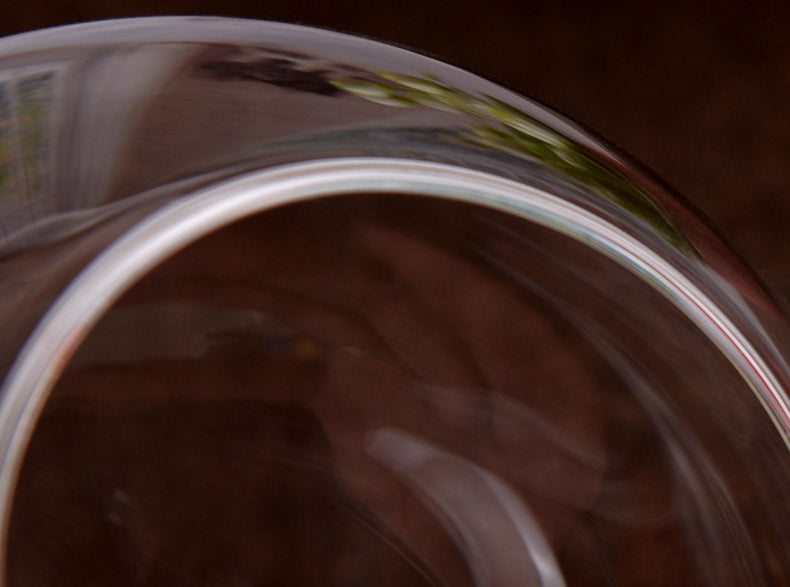 Transparent Glass Hydroponic Flower Vase