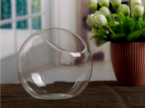 Transparent Glass Hydroponic Flower Vase
