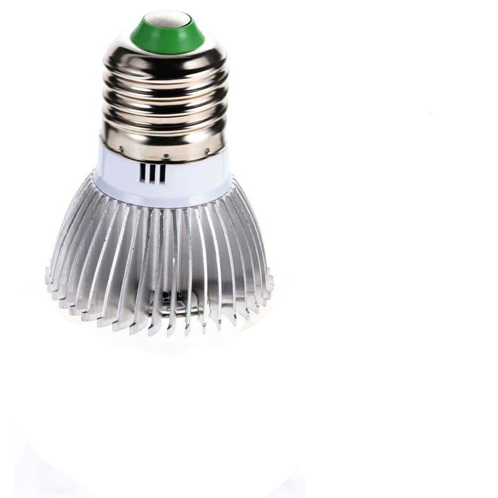 Flowers Plants Vegetables Growing Bulbs