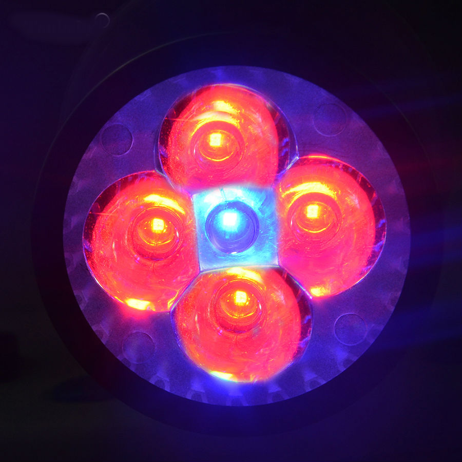 Hydroponic Lamp Bulb