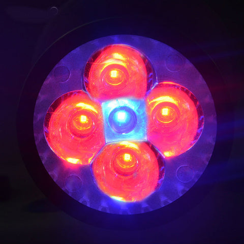 Hydroponic Lamp Bulb