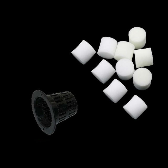 Nursery Sponge Flower Seed